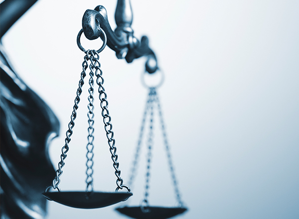 Legal Experts